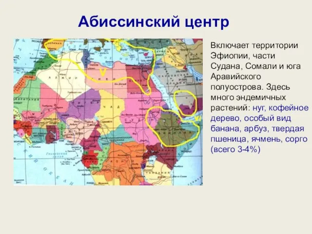 Абиссинский центр Включает территории Эфиопии, части Судана, Сомали и юга Аравийского