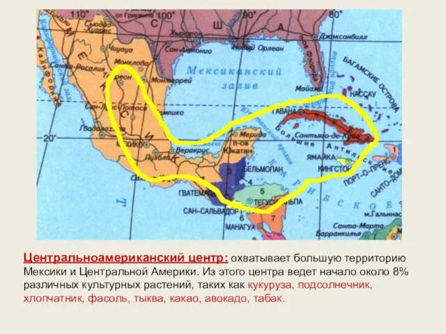 Центральноамериканский центр: охватывает большую территорию Мексики и Центральной Америки. Из этого
