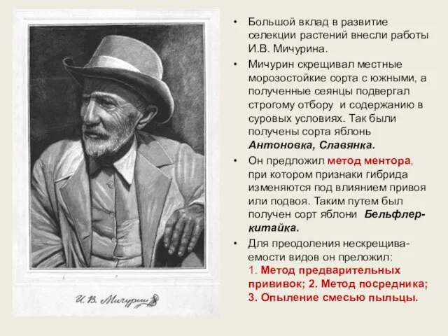 Большой вклад в развитие селекции растений внесли работы И.В. Мичурина. Мичурин