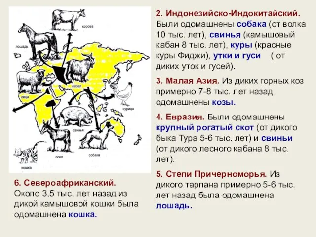 2. Индонезийско-Индокитайский. Были одомашнены собака (от волка 10 тыс. лет), свинья