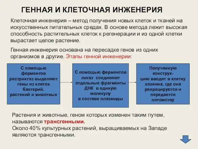 ГЕННАЯ И КЛЕТОЧНАЯ ИНЖЕНЕРИЯ Клеточная инженерия – метод получения новых клеток