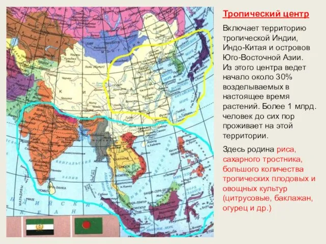 Тропический центр Включает территорию тропической Индии, Индо-Китая и островов Юго-Восточной Азии.