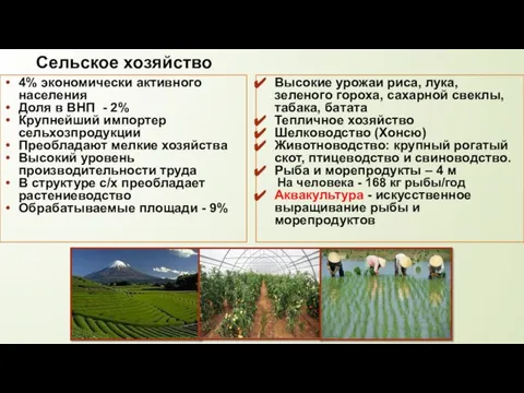 Сельское хозяйство 4% экономически активного населения Доля в ВНП - 2%