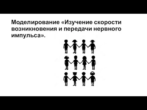 Моделирование «Изучение скорости возникновения и передачи нервного импульса».