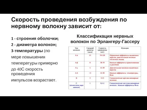 Скорость проведения возбуждения по нервному волокну зависит от: 1 - строения