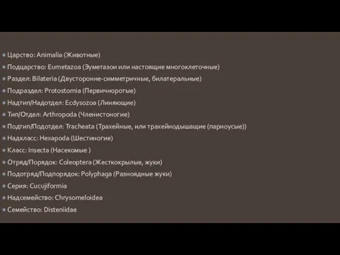 Царство: Animalia (Животные) Подцарство: Eumetazoa (Эуметазои или настоящие многоклеточные) Раздел: Bilateria