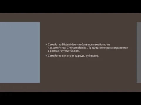 Семейство Disteniidae – небольшое семейство из надсемейства Chrysomeloidea . Традиционно рассматривается