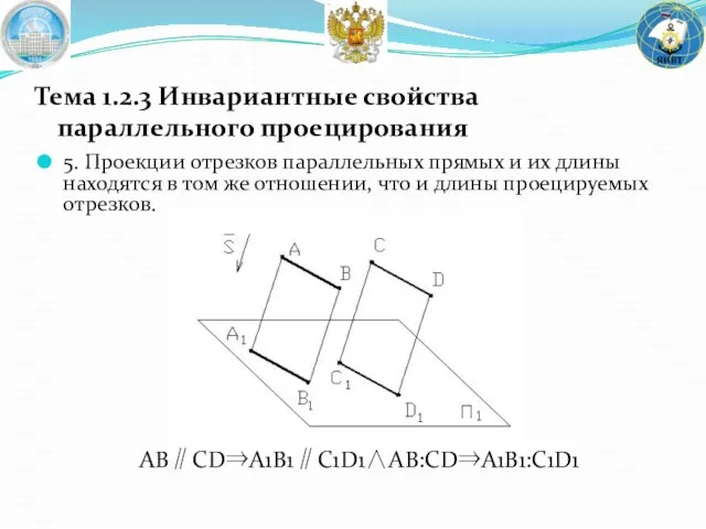 5. Проекции отрезков параллельных прямых и их длины находятся в том