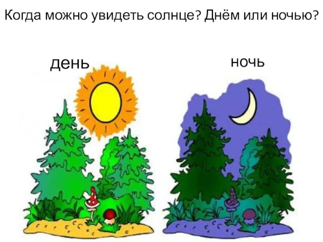 Когда можно увидеть солнце? Днём или ночью? день ночь