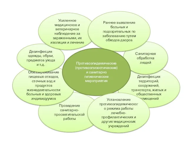 Проведение санитарно-просветительской работы Дезинфекция территорий, сооружений, транспорта, жилых и общественных помещений