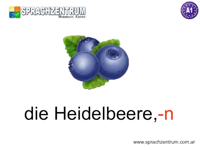 die Heidelbeere,-n www.sprachzentrum.com.ar