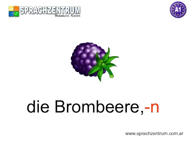 die Brombeere,-n www.sprachzentrum.com.ar