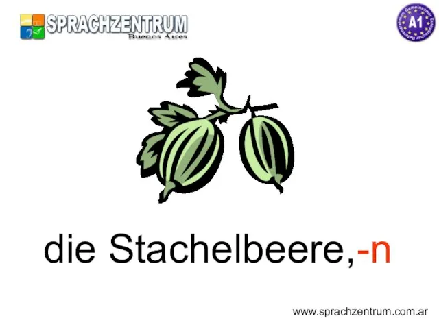 die Stachelbeere,-n www.sprachzentrum.com.ar