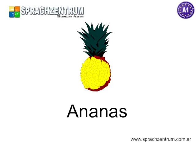 Ananas www.sprachzentrum.com.ar