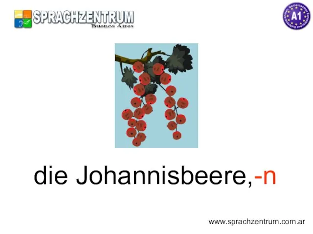 die Johannisbeere,-n www.sprachzentrum.com.ar