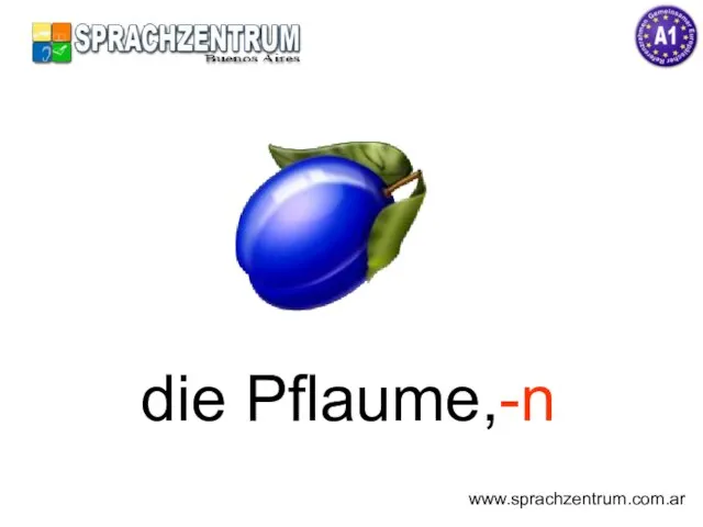 die Pflaume,-n www.sprachzentrum.com.ar