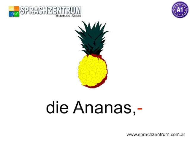 die Ananas,- www.sprachzentrum.com.ar
