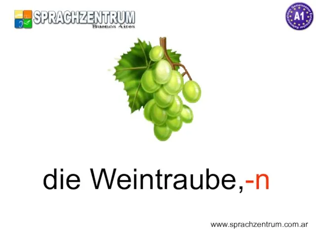 die Weintraube,-n www.sprachzentrum.com.ar