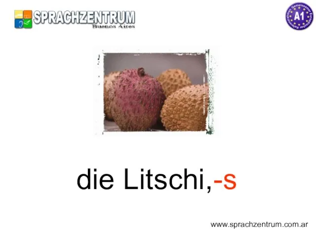 die Litschi,-s www.sprachzentrum.com.ar