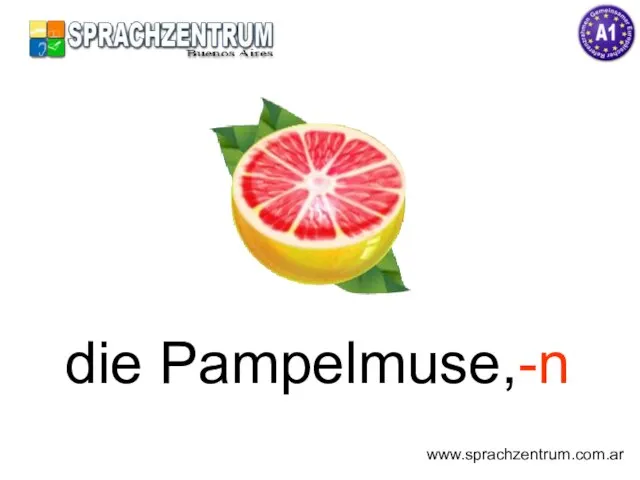 die Pampelmuse,-n www.sprachzentrum.com.ar