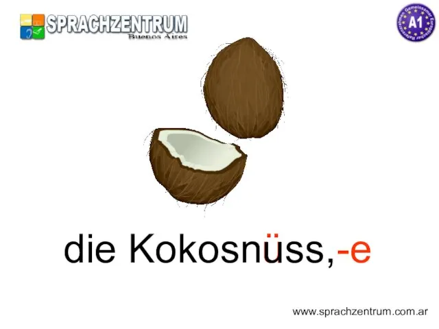 ü die Kokosnuss,-e www.sprachzentrum.com.ar