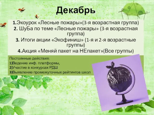 Декабрь 1.Экоурок «Лесные пожары»(3-я возрастная группа) 2. ШуБа по теме «Лесные