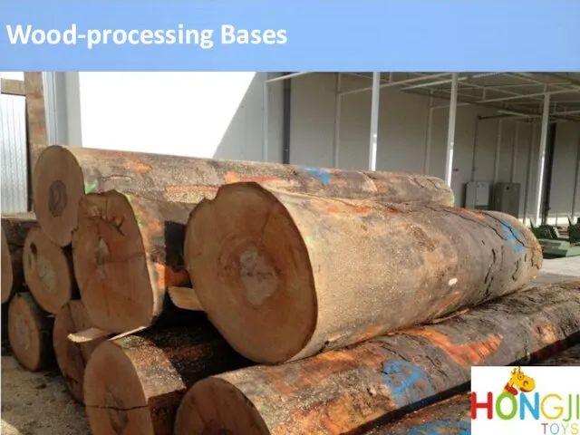 Wood-processing Bases