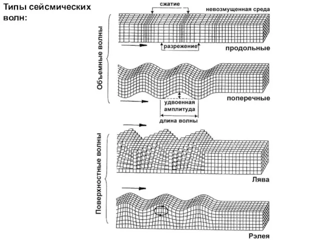 Типы сейсмических волн: