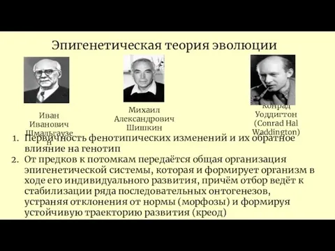 Эпигенетическая теория эволюции Иван Иванович Шмальгаузен Конрад Уоддигтон (Conrad Hal Waddington)