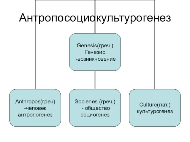 Антропосоциокультурогенез