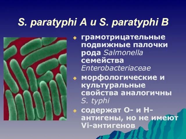 S. paratyphi А и S. paratyphi В грамотрицательные подвижные палочки рода