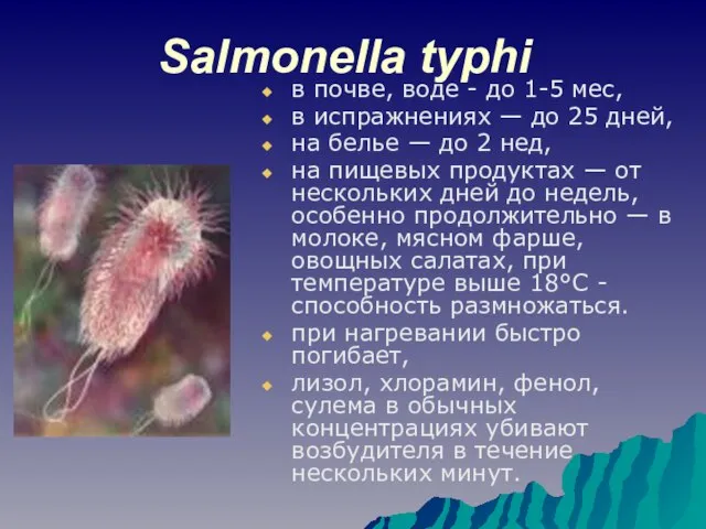 Salmonella typhi в почве, воде - до 1-5 мес, в испражнениях