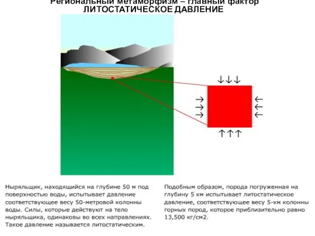 МЕТАОРФИЧЕСКИЕ ПОРОДЫ Региональный метаморфизм – главный фактор ЛИТОСТАТИЧЕСКОЕ ДАВЛЕНИЕ