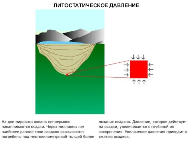 МЕТАОРФИЧЕСКИЕ ПОРОДЫ ЛИТОСТАТИЧЕСКОЕ ДАВЛЕНИЕ