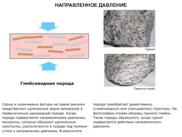 МЕТАОРФИЧЕСКИЕ ПОРОДЫ НАПРАВЛЕННОЕ ДАВЛЕНИЕ