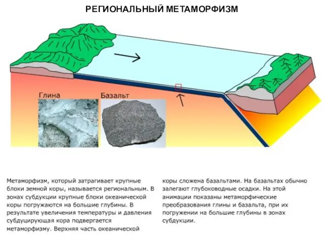 МЕТАОРФИЧЕСКИЕ ПОРОДЫ РЕГИОНАЛЬНЫЙ МЕТАМОРФИЗМ