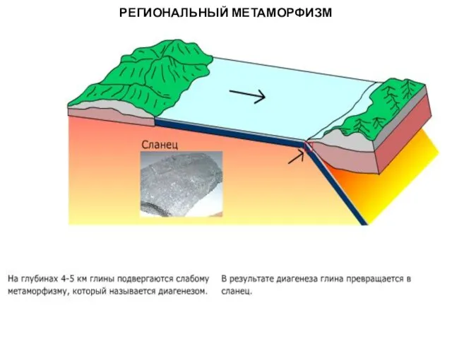 МЕТАОРФИЧЕСКИЕ ПОРОДЫ РЕГИОНАЛЬНЫЙ МЕТАМОРФИЗМ