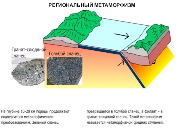 МЕТАОРФИЧЕСКИЕ ПОРОДЫ РЕГИОНАЛЬНЫЙ МЕТАМОРФИЗМ