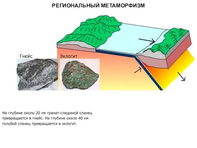 МЕТАОРФИЧЕСКИЕ ПОРОДЫ РЕГИОНАЛЬНЫЙ МЕТАМОРФИЗМ