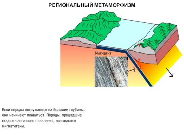 МЕТАОРФИЧЕСКИЕ ПОРОДЫ РЕГИОНАЛЬНЫЙ МЕТАМОРФИЗМ