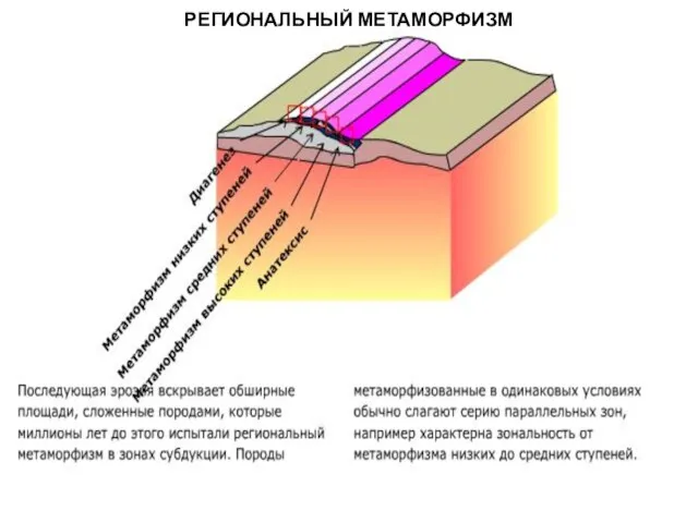 МЕТАОРФИЧЕСКИЕ ПОРОДЫ РЕГИОНАЛЬНЫЙ МЕТАМОРФИЗМ