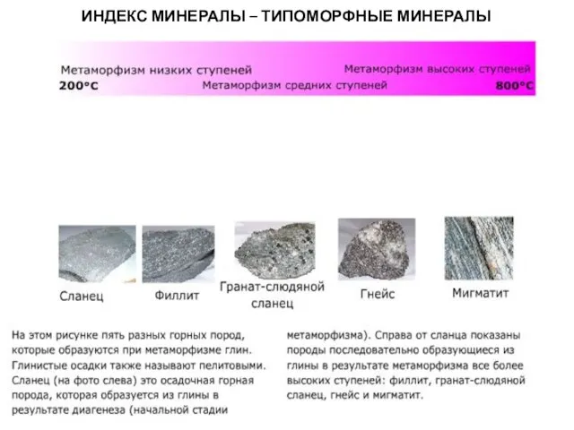 МЕТАОРФИЧЕСКИЕ ПОРОДЫ ИНДЕКС МИНЕРАЛЫ – ТИПОМОРФНЫЕ МИНЕРАЛЫ