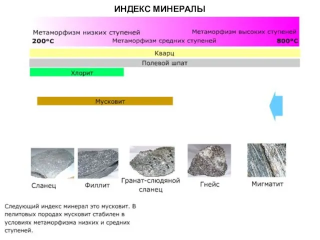 МЕТАОРФИЧЕСКИЕ ПОРОДЫ ИНДЕКС МИНЕРАЛЫ