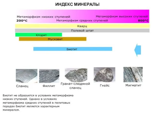 МЕТАОРФИЧЕСКИЕ ПОРОДЫ ИНДЕКС МИНЕРАЛЫ