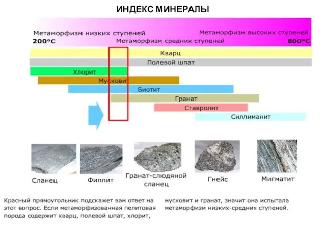 МЕТАОРФИЧЕСКИЕ ПОРОДЫ ИНДЕКС МИНЕРАЛЫ