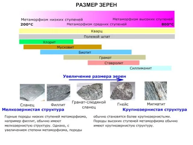 МЕТАОРФИЧЕСКИЕ ПОРОДЫ РАЗМЕР ЗЕРЕН