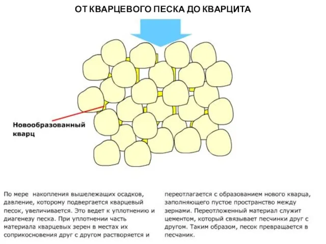 МЕТАОРФИЧЕСКИЕ ПОРОДЫ ОТ КВАРЦЕВОГО ПЕСКА ДО КВАРЦИТА