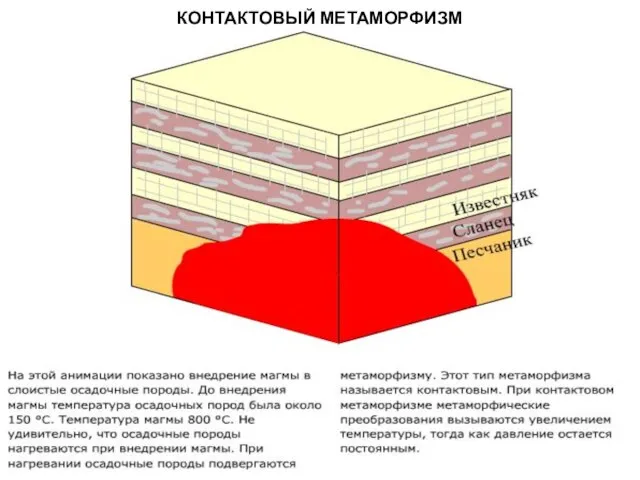 МЕТАОРФИЧЕСКИЕ ПОРОДЫ КОНТАКТОВЫЙ МЕТАМОРФИЗМ