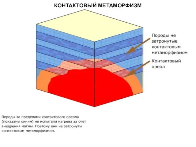 МЕТАОРФИЧЕСКИЕ ПОРОДЫ КОНТАКТОВЫЙ МЕТАМОРФИЗМ