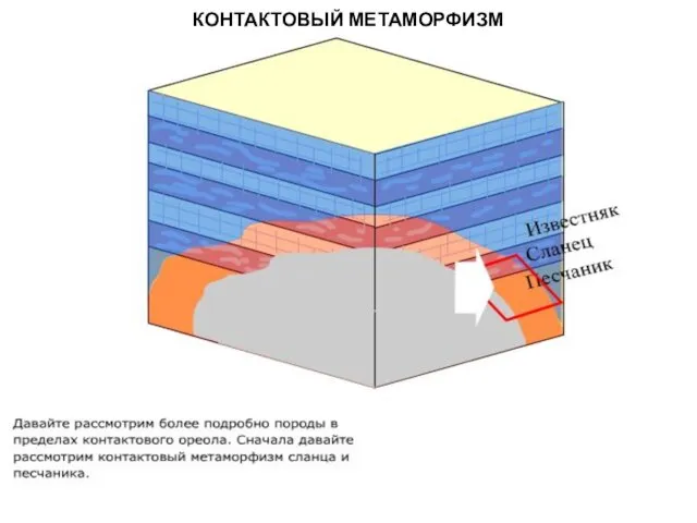 МЕТАОРФИЧЕСКИЕ ПОРОДЫ КОНТАКТОВЫЙ МЕТАМОРФИЗМ